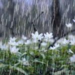 هوای استان کرمانشاه آخر هفته بارانی می‌شود