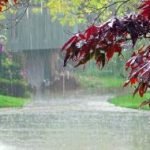 استمرار بارش‌ها در کرمانشاه /ورود سامانه بارشی جدید از جمعه