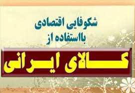 جهت رشد اقتصادی و اشتغال پایدار باید ، فرهنگ خرید کالای ایرانی نهادینه شود