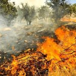 سه هکتار از مراتع جنگلی گیلانغرب در آتش سوخت