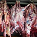 ۷۶ تن گوشت گرم گوسفندی در کرمانشاه توزیع شد