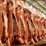 ایران در مرز خودکفایی تولید گوشت قرار دارد