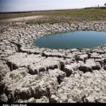 حال ناخوش نیلوفرها در استان کرمانشاه/ دادگستری برای رفع مشکلات سراب نیلوفرها دست به‌کار شد