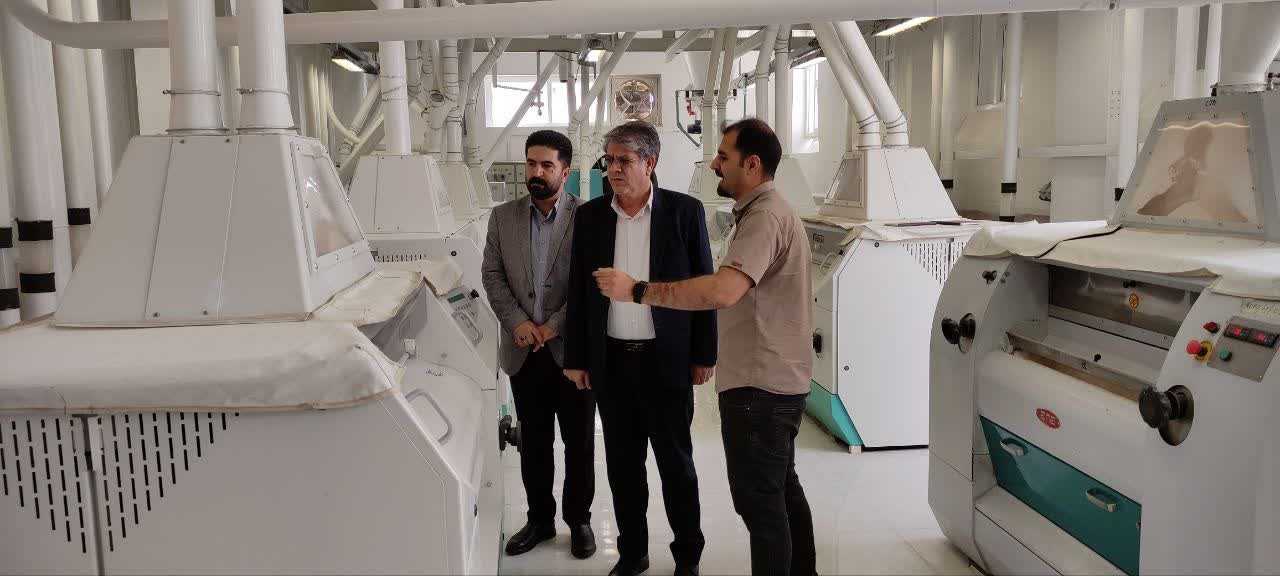 فرماندار اسلام آبادغرب از کارخانه آرد سبا بازدید کرد