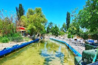 نفس‌های آخر باغ هلال؛ موقوفه‌ای که قربانی سودجویی شد