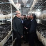بازدید استاندار کرمانشاه از مجتمع قارچ ماهیدشت/ بررسی و پیگیری میدانی برای رونق تولید