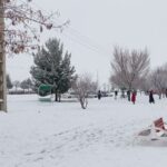 301eb188-0989-4250-ad10-c74c45d84d74