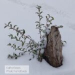 7aed75ba-1e6a-4667-8df8-4af9ad9cda37