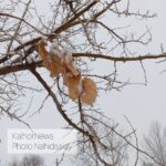 8555e03e-d1cb-425b-b339-b0328141d5f5