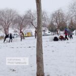 8bcff278-9a07-46ac-a625-df6fce8b98af