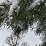 c809ba63-79c2-4b03-9085-7be64e6535ae