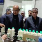 بازدید میدانی استاندار کرمانشاه و فرماندار اسلام آباد غرب؛ از کارخانه لبنیات مانیزان