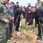 پویش نهال کاری سرو ایران؛ همزمان با سراسر کشور، در اسلام آبادغرب برگزار شد