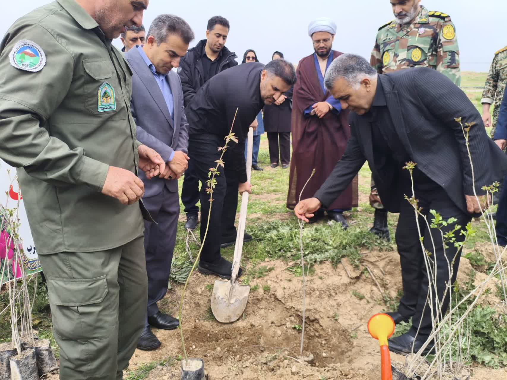 پویش نهال کاری سرو ایران؛ همزمان با سراسر کشور، در اسلام آبادغرب برگزار شد