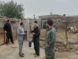 بازدید رئیس دامپزشکی روانسر از اکیپ واکسیناسیون دام و طیور